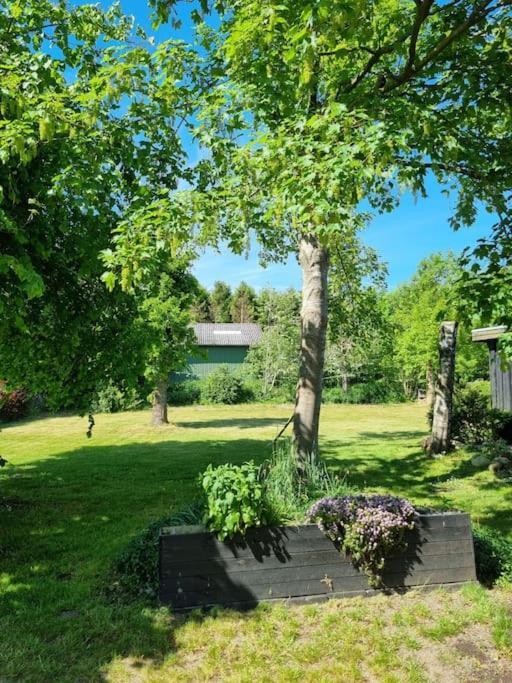 Willkommen In Frifelt Naehe Romo Mit Wunderschoenen Garten Skaerbaek Ngoại thất bức ảnh
